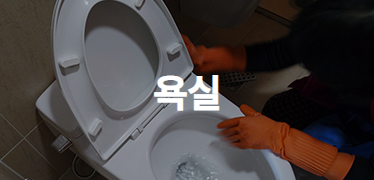 서비스사진